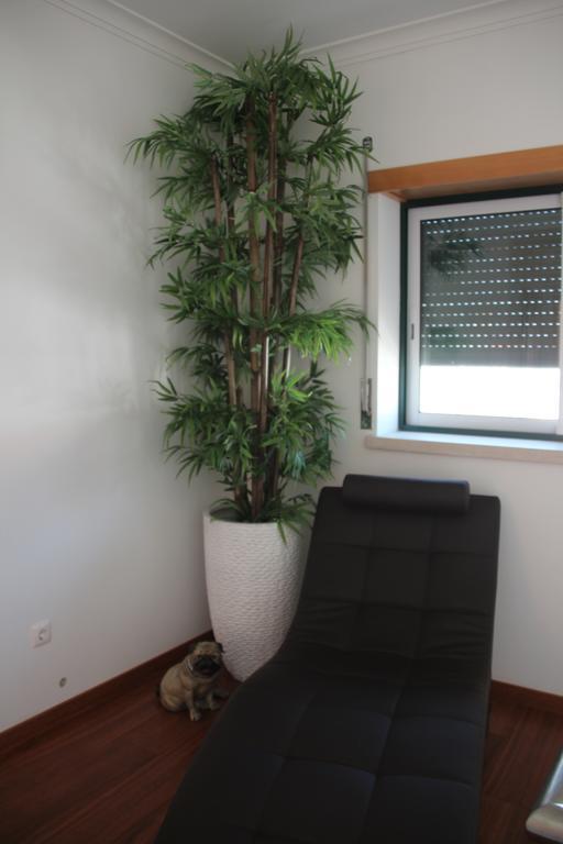 Olive View Villa Vila Nova da Barquinha Esterno foto